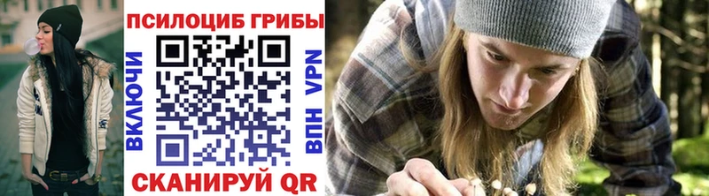 omg tor  Москва  Галлюциногенные грибы прущие грибы 